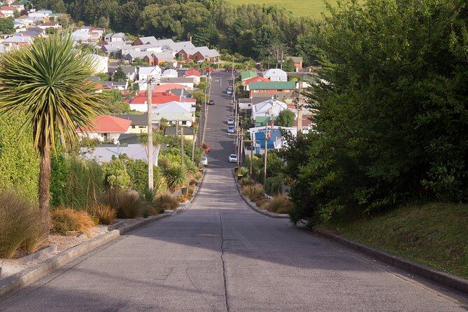 Larnach Castle & Dunedin City Highlights Tour (Shore Excursion) - Key Highlights You’ll Actually Feel on the Day