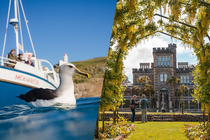 Larnach Castle & Otago Wildlife Cruise from Dunedin - Why this Dunedin tour clicks for both history lovers and nature chasers