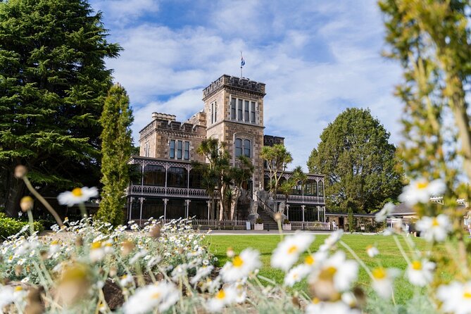 Larnach Castle & Otago Wildlife Cruise from Dunedin - Getting picked up in Dunedin: comfortable minivan flow