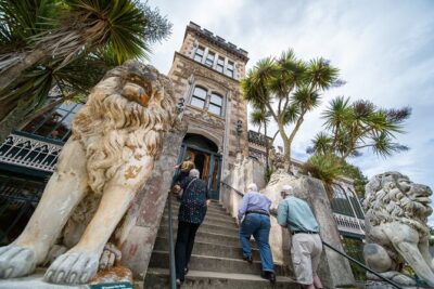 Larnach Castle & Otago Wildlife Cruise from Dunedin - Price and value at $108.60: what you’re paying for