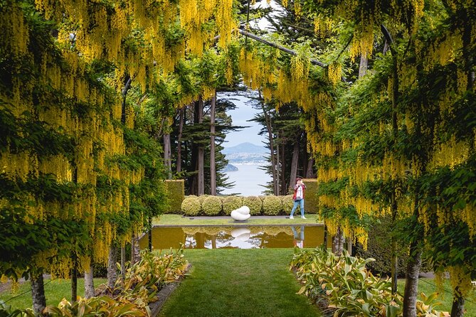 Larnach Castle & Otago Wildlife Cruise from Dunedin - Stop 1 on the Otago Peninsula: the drive that sets up the views