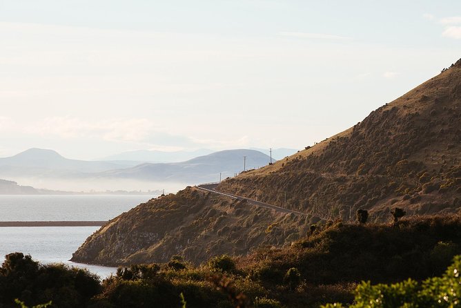 Larnach Castle & Otago Wildlife Cruise from Dunedin - Pacing, weather, and how to pack for a 5-hour day