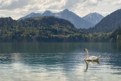 Legendary Experience of Neuschwanstein Castle - Füssen and Hohenschwangau: a short taste of the region before the big climb