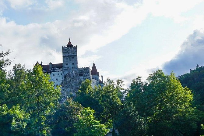 Libearty Bear Sanctuary and Dracula's Castle - Day Tour from Bucharest - Price and logistics: what you pay for, and what costs extra