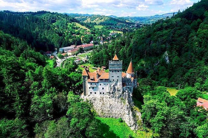 Libearty Bear Sanctuary and Dracula's Castle - Day Tour from Bucharest - Who this tour is best for (and who should choose differently)