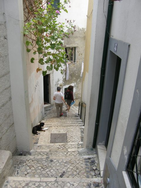 Lisbon: Alfama and São Jorge Castle Quarters Walking Tour - Key highlights I’d circle first