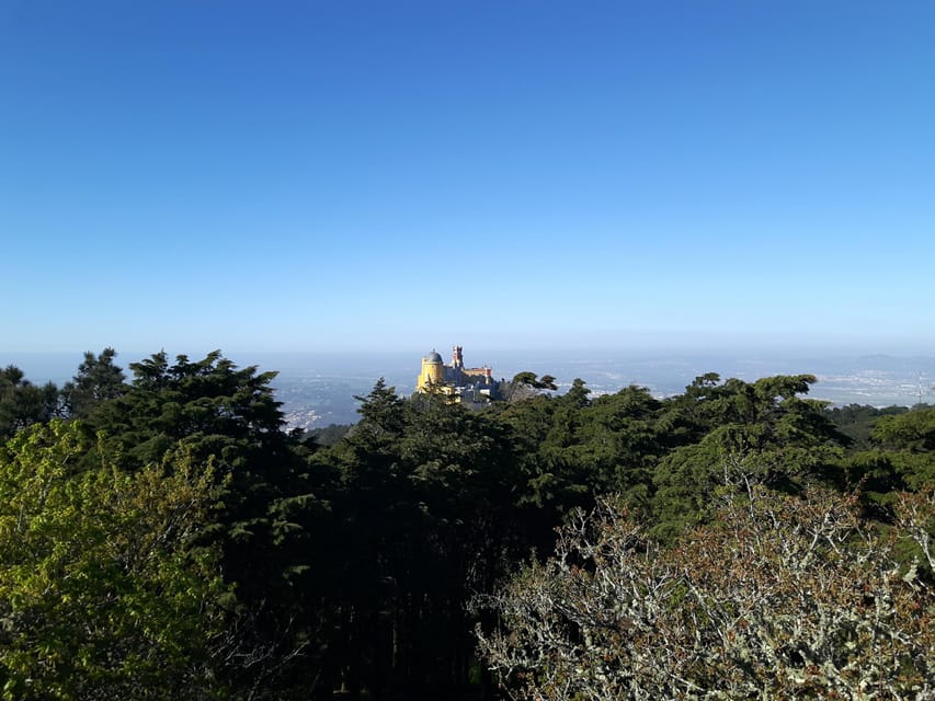 Lisbon: Half-Day Sintra Tour with Pena Palace and Regaleira - Sintra Village Break: Travesseiro, Queijada, and Real Stroll Time