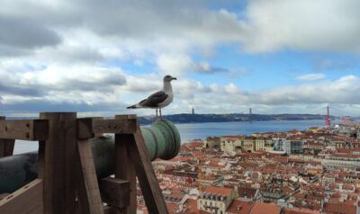 Lisbon: Saint George's Castle Entry Ticket and Guided Visit - Finding Your Tour Guide at São Jorge Castle (Blue Flag by the Bus Stop)