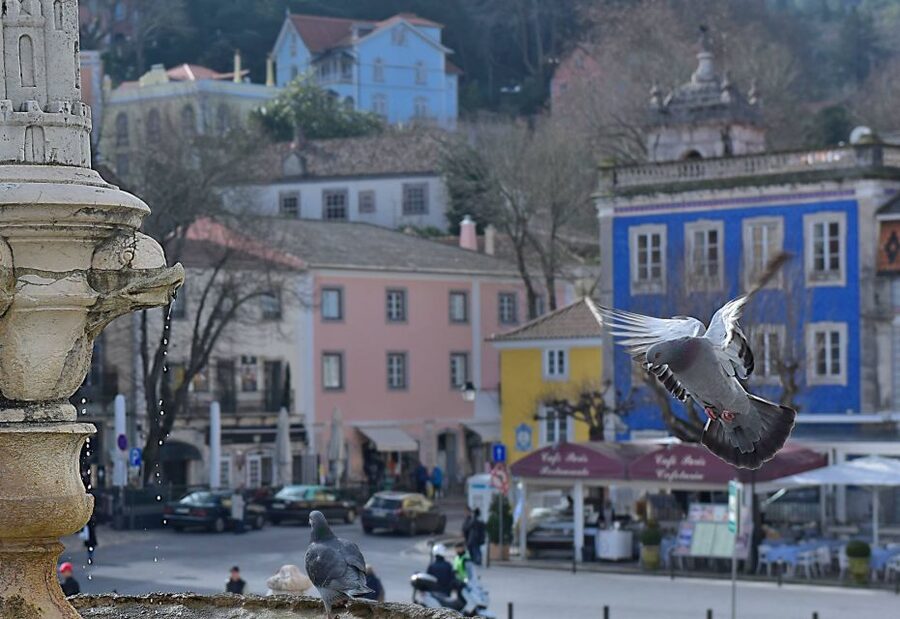 Lisbon: Sintra, Pena Palace, Quinta Regaleira, Cascais Tour - What You Get for $69: A Full-Day Mix That Makes Sense