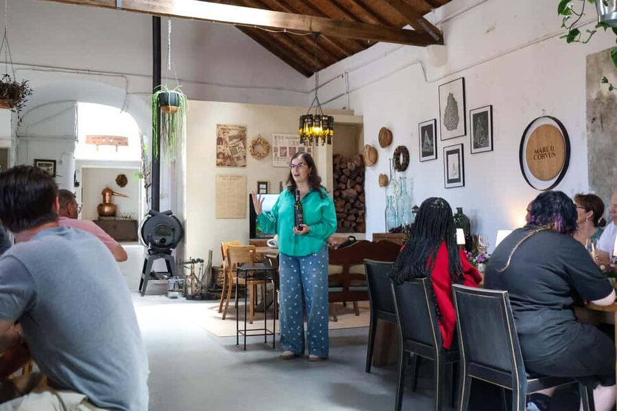 Lisbon: Sintra, Pena Palace & Wine Tasting Small-Group Tour - The real secret sauce: small-group energy and guides like Sofia and Matteo