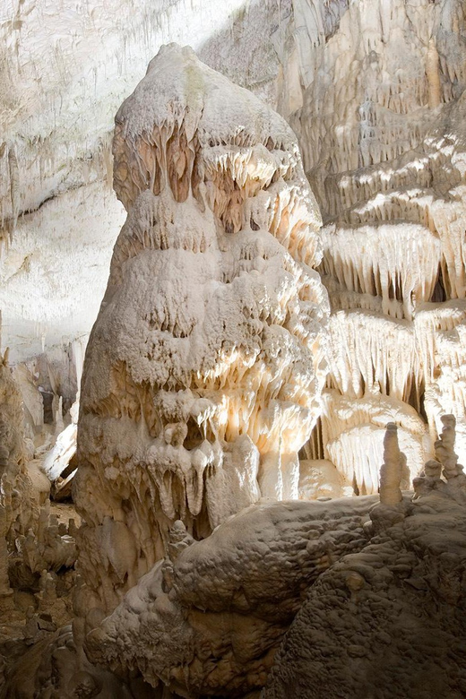 Ljubljana: Postojna Cave and Predjama Castle Tour - What to Bring (and What Can Trip You Up)