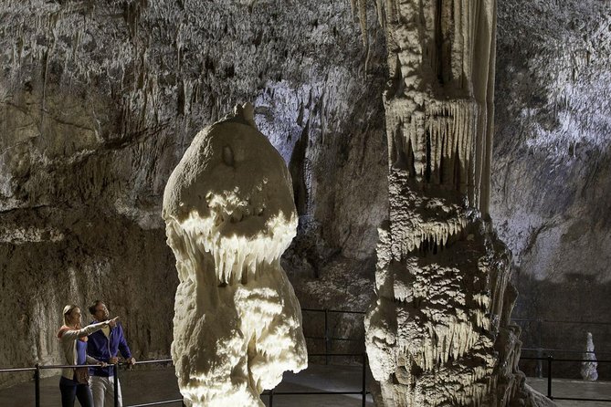 Ljubljana: Postojna cave & Predjama castle small group tour - Predjama Castle in the Cliff: What You’ll See and Where the Stairs Hit