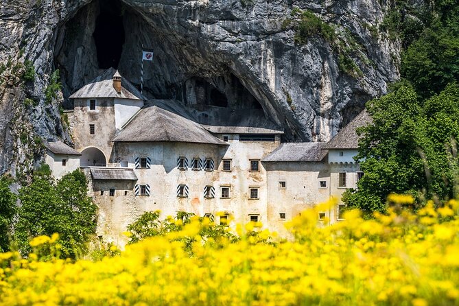 Ljubljana: Postojna cave & Predjama castle small group tour - Postojna Cave by Electric Train: Formations, Rail Routes, and the Cold Reality