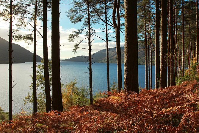 Loch Lomond, Kelpies & Stirling Castle Tour Including Admission - So should you book this tour?