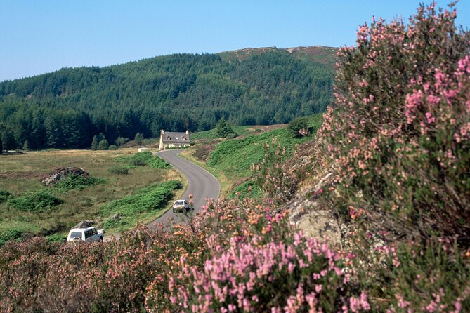 Loch Lomond National Park & Stirling Castle Full Day Tour - Key highlights to look forward to