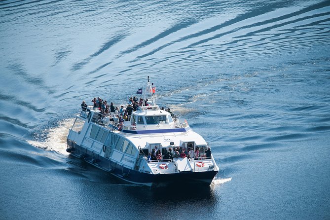 Loch Ness 1-Hour Cruise with Urquhart Castle Views - On the Water: Your Nessie Search With Onboard Sonar