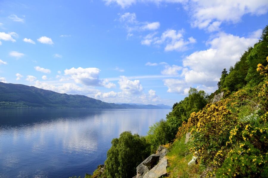 Loch Ness: Urquhart Castle Round-Trip Cruise - Comfort on board: Wi‑Fi, the bar, and those praised toilets