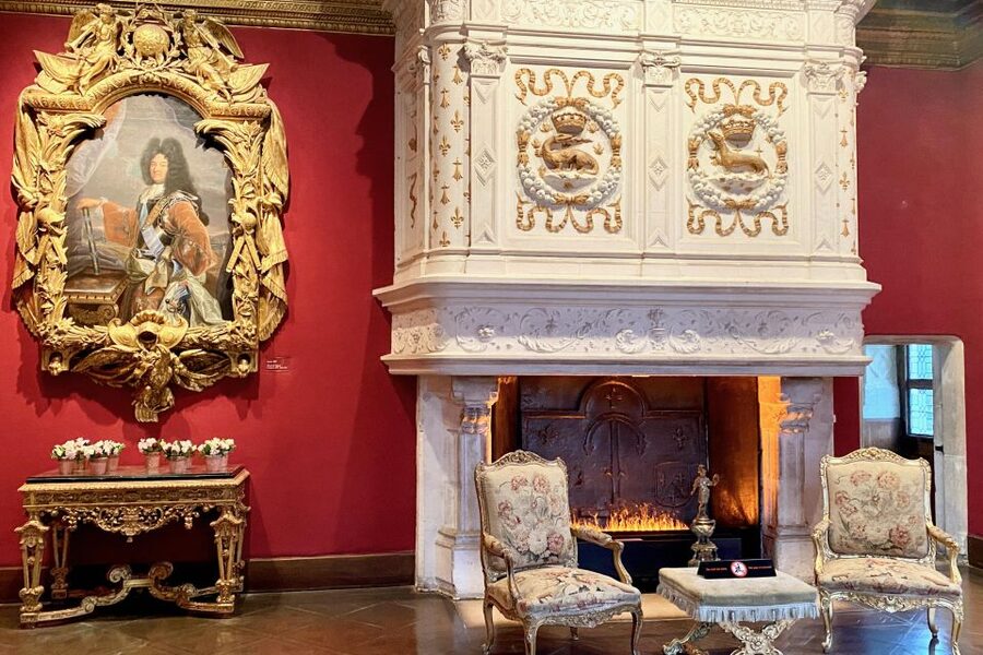 Loire Valley Castles: Chenonceau, Amboise & Da Vinci Trip - Tickets, wine, and guides: is the $324 price fair?