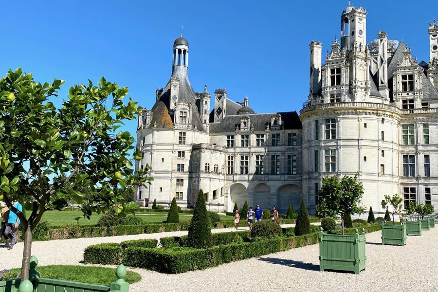 Loire Valley Castles: Chenonceau, Amboise & Da Vinci Trip - Wine tasting at a family winery: seven wines, short lessons