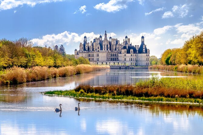 Loire Valley Castles Day Trip from Paris with Complementary Wine - Comfort tips: bus size, walking, and how to avoid a miserable end-of-day