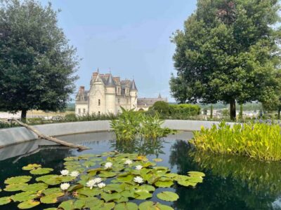 Loire Valley: Château Royal d'Amboise Entrance Ticket - A 15th-Century Royal Residence With a 19th-Century Afterglow