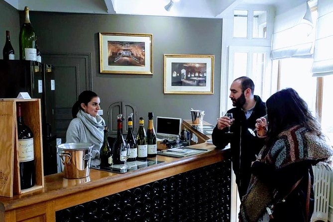 Loire Valley Wines and Castle Small Group Day Trip from Paris - The Vineyard Drive Through Touraine: Learn the Grapes While You Roll
