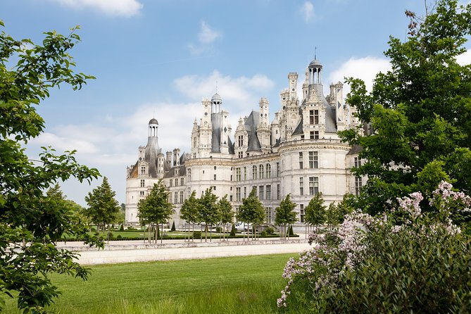 Loire Valley Wines and Castle Small Group Day Trip from Paris - Wine Tasting Reality Check: What You’re Really Learning