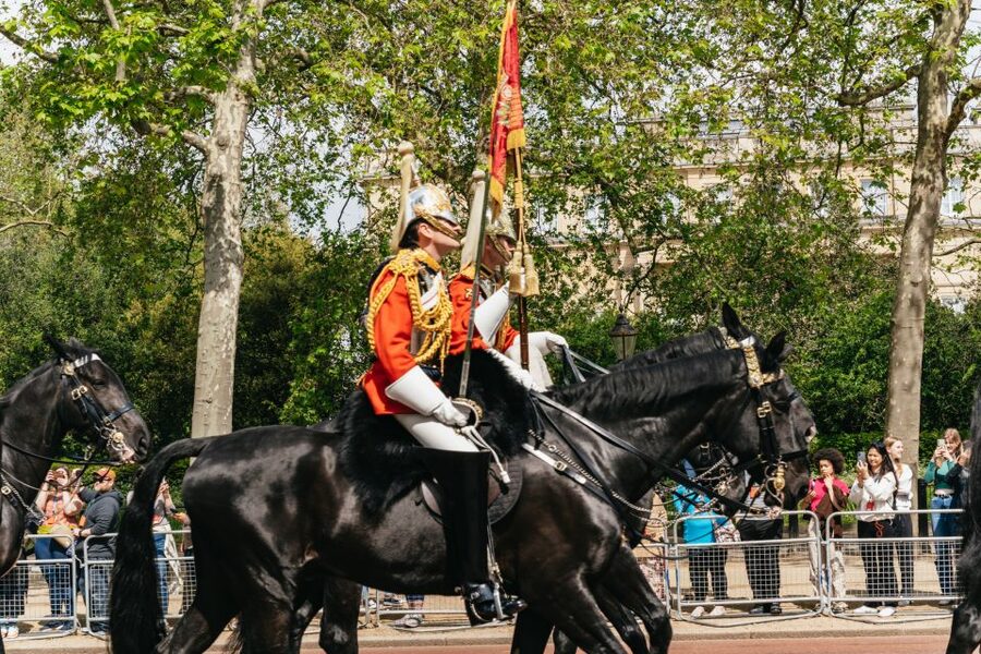 London: Changing of the Guard Tour by Buckingham Palace - Starting at the Duke of York Monument: the smart way to begin