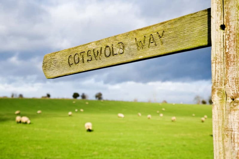London: Cream Tea at Blenheim Palace & the Cotswolds Tour - The coach experience: comfortable travel, real schedule, and Wi-Fi caveats