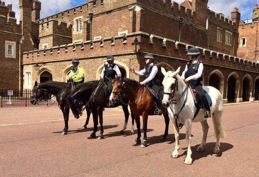 London: Westminster Walking Tour and Kensington Palace Visit - Big Ben, London Eye sightlines, and why this route works