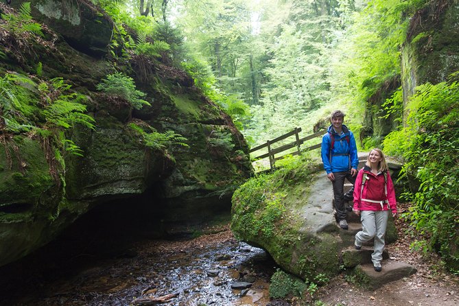 Luxembourg: Nature & Castle Day Trip - Van logistics: what 8 hours really feels like