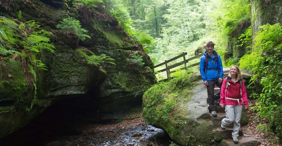 Luxembourg: Nature, History and Castles Full-Day Tour - Key highlights worth planning around
