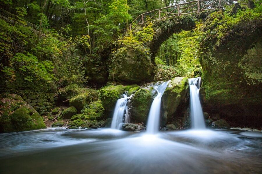 Luxembourg: Nature, History and Castles Full-Day Tour - A modern open-top coach that makes distance feel shorter