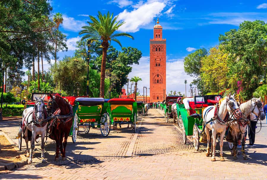 Marrakech: Bahia Palace, Madrasa Ben Youssef & Secret Garden - Key things to look forward to