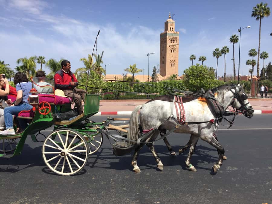 Marrakech: Bahia Palace, Saadian Tombs, & Koutoubia Mosque - Key Highlights You’ll Actually Feel