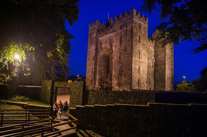 Medieval Banquet at Bunratty Castle Ticket - Who Should Book This Medieval Banquet at Bunratty?