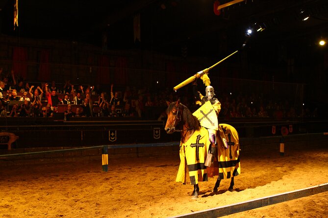 Medieval San Miguel castle with dinner-Show in South Tenerife - The medieval show: jousting, falcons, sword fights, and you being part of it