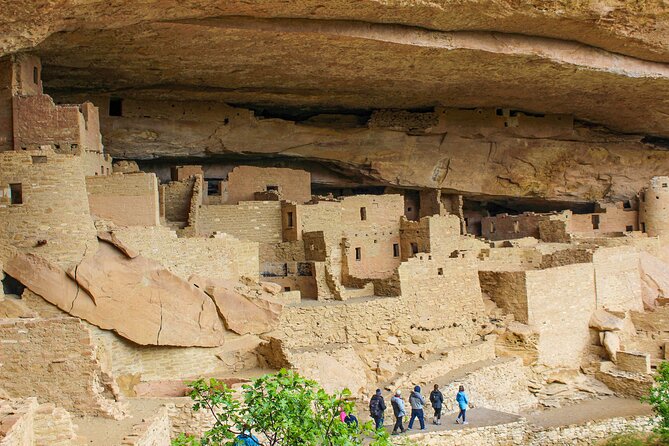 Mesa Verde Full Day Tour with Cliff Palace and Lunch - Cliff Palace: Rangers, Narrow Stairs, and the Ladder Reality