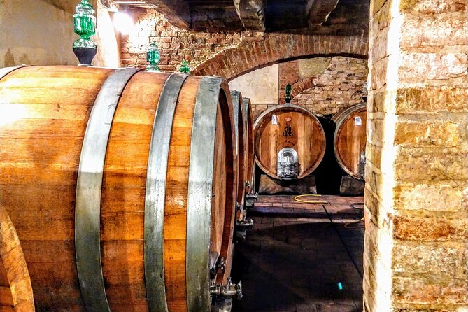 Montalcino: Brunello Wine Tasting & Lunch in a Tuscan Castle - Castello Tricerchi in Montalcino: what makes this setting work