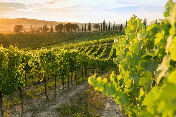 Montalcino: Brunello Wine Tasting & Lunch in a Tuscan Castle - The wine tasting: 3 wines, a real pairing moment, and tips for tasting smarter
