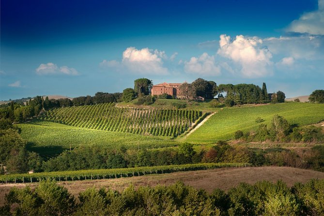 Montalcino: Brunello Wine Tasting & Lunch in a Tuscan Castle - Value for $69: when the price feels fair and when it might sting