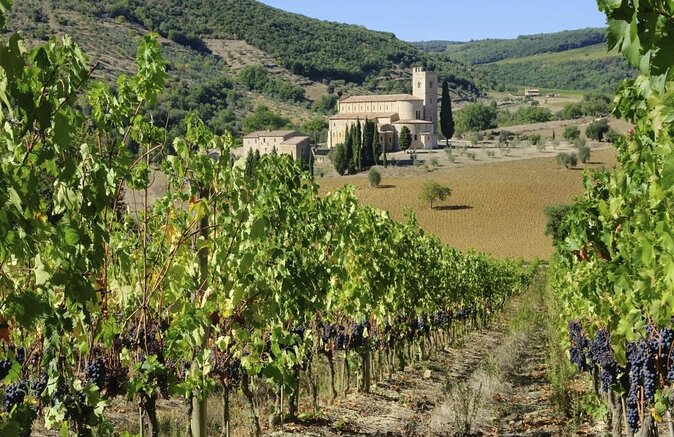 Montalcino: Castle and Vineyards Tour with Tasting - Key Things You Should Know Before You Go