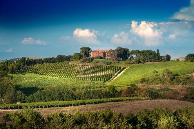Montalcino: Castle and Vineyards Tour with Tasting - Montalcino’s Castle Course: Medieval Walls and Brunello in the Same Hour