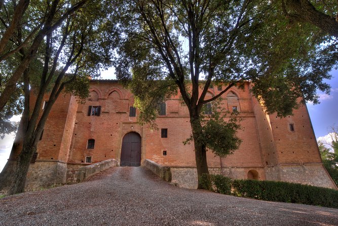 Montalcino: Castle and Vineyards Tour with Tasting - Who This Tour Suits Best (and Who Might Feel Rushed)