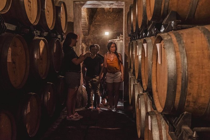 Montalcino: Castle and Vineyards Tour with Tasting - The Real-Time Experience: What a 1-Hour Small-Group Tour Feels Like