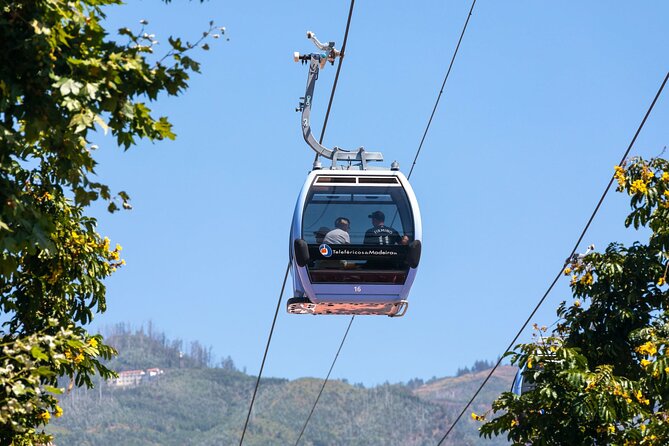 Monte Palace Tropical Garden tour with Cable Car - Cable Car Views Before You Even Step Foot in the Gardens