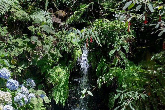 Monte Palace Tropical Garden tour with Cable Car - Monte Palace Tropical Garden: Fountains, Grottoes, and Swan Ponds