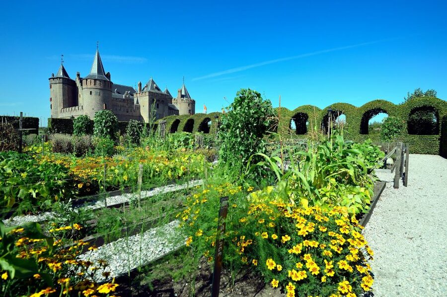 Muiden: Entry Ticket to Muiderslot Castle - Value for $23: what you actually get in about 2 hours