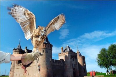 Muiden: Entry Ticket to Muiderslot Castle - Where to meet in Muiden (and why that matters)