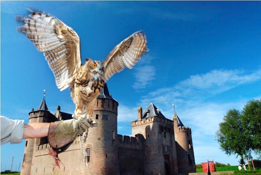 Muiden: Entry Ticket to Muiderslot Castle - Where to meet in Muiden (and why that matters)